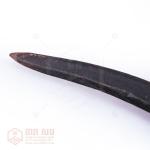 ត្រសេះ