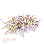 គ្រាប់មិន ឬ គ្រាប់គឹប