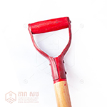 ប៉ែល